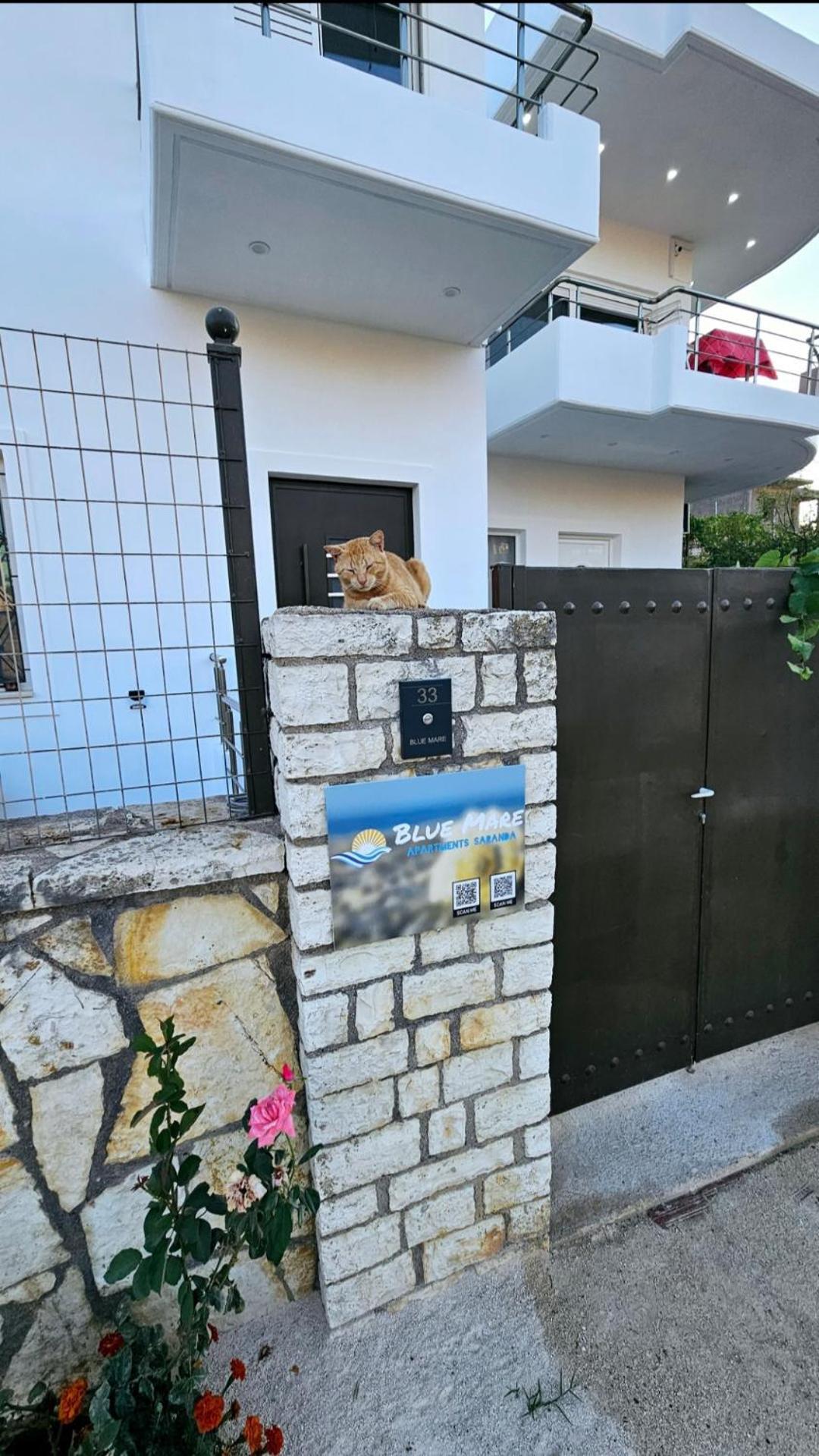Blue Mare Apartments Sarandë 외부 사진