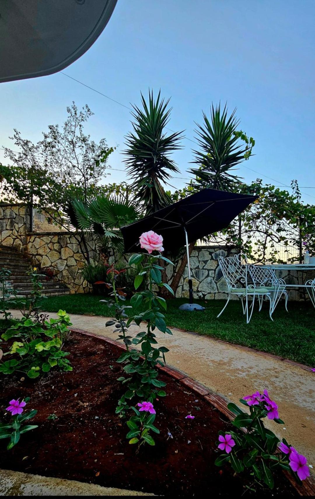 Blue Mare Apartments Sarandë 외부 사진